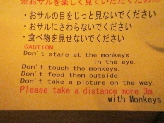 DONT STARE AT THE MONKEYS IN THE EYE....oops